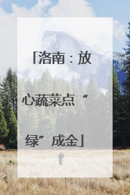 洛南：放心蔬菜点“绿”成金
