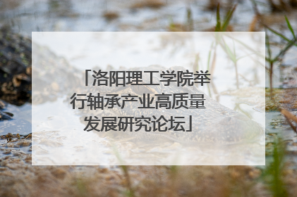 洛阳理工学院举行轴承产业高质量发展研究论坛