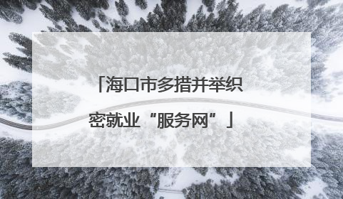 海口市多措并举织密就业“服务网”