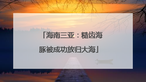 海南三亚：糙齿海豚被成功放归大海