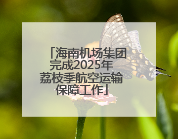 海南机场集团完成2025年荔枝季航空运输保障工作