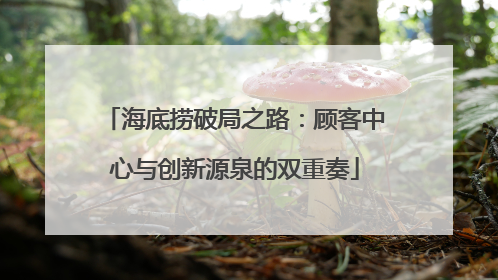 海底捞破局之路：顾客中心与创新源泉的双重奏