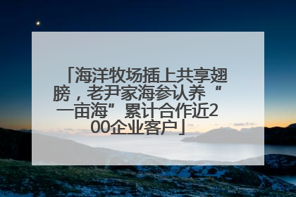 海洋牧场插上共享翅膀，老尹家海参认养“一亩海”累计合作近200企业客户