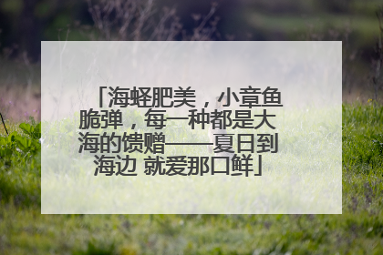 海蛏肥美，小章鱼脆弹，每一种都是大海的馈赠——夏日到海边 就爱那口鲜