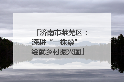 济南市莱芜区：深耕“一株桑” 绘就乡村振兴图