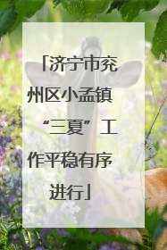 济宁市兖州区小孟镇“三夏”工作平稳有序进行