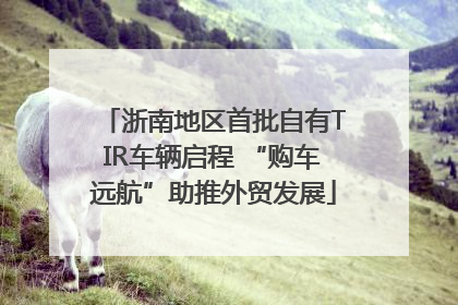 浙南地区首批自有TIR车辆启程 “购车远航”助推外贸发展
