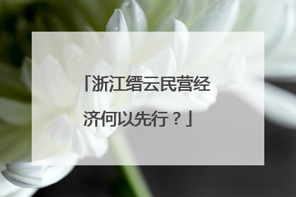 浙江缙云民营经济何以先行？