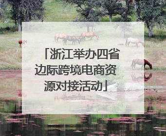 浙江举办四省边际跨境电商资源对接活动