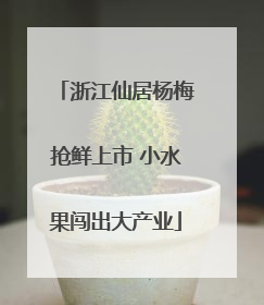 浙江仙居杨梅抢鲜上市 小水果闯出大产业