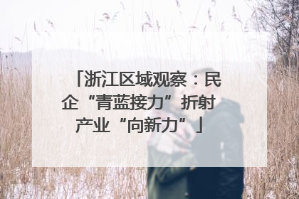 浙江区域观察：民企“青蓝接力”折射产业“向新力”