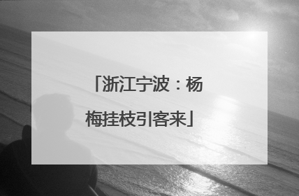 浙江宁波：杨梅挂枝引客来