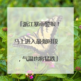 浙江暴雨警报！马上进入最强时段，气温也将猛跌