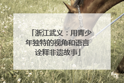 浙江武义：用青少年独特的视角和语言诠释非遗故事