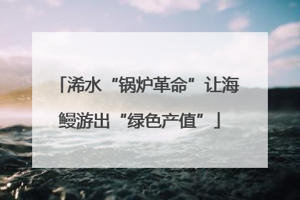浠水“锅炉革命”让海鳗游出“绿色产值”