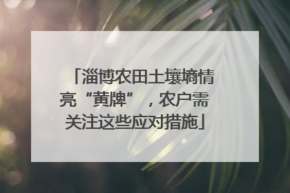淄博农田土壤墒情亮“黄牌”，农户需关注这些应对措施