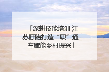 深耕技能培训 江苏盱眙打造“职”通车赋能乡村振兴