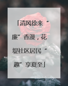 清风徐来“廉”香漫，花堤社区居民“趣”享夏至