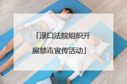 渌口法院组织开展禁毒宣传活动