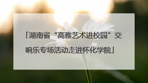 湖南省“高雅艺术进校园”交响乐专场活动走进怀化学院