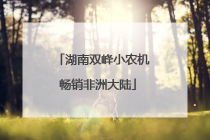 湖南双峰小农机畅销非洲大陆