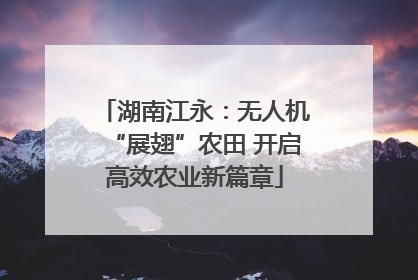 湖南江永：无人机“展翅”农田 开启高效农业新篇章