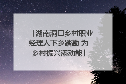 湖南洞口乡村职业经理人下乡踏勘 为乡村振兴添动能