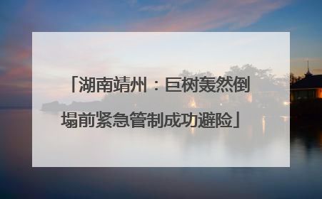 湖南靖州：巨树轰然倒塌前紧急管制成功避险