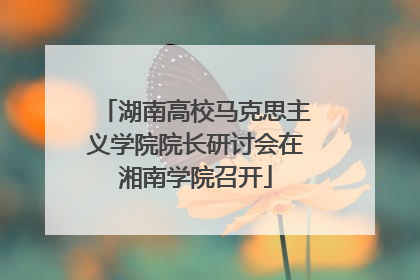 湖南高校马克思主义学院院长研讨会在湘南学院召开