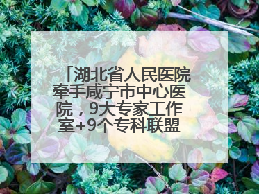 湖北省人民医院牵手咸宁市中心医院，9大专家工作室+9个专科联盟筑牢区域医疗网