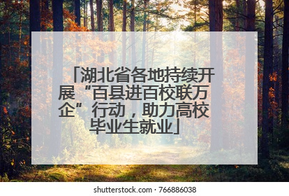 湖北省各地持续开展“百县进百校联万企”行动，助力高校毕业生就业