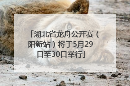 湖北省龙舟公开赛（阳新站）将于5月29日至30日举行