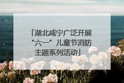 湖北咸宁广泛开展“六一”儿童节消防主题系列活动