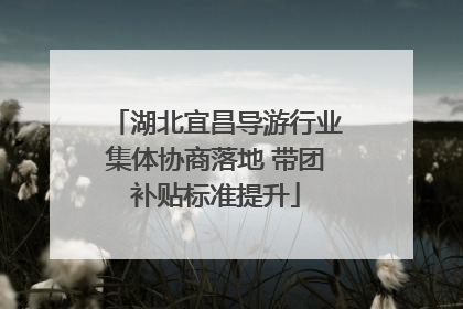 湖北宜昌导游行业集体协商落地 带团补贴标准提升
