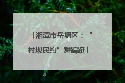 湘潭市岳塘区：“村规民约”舞蹁跹