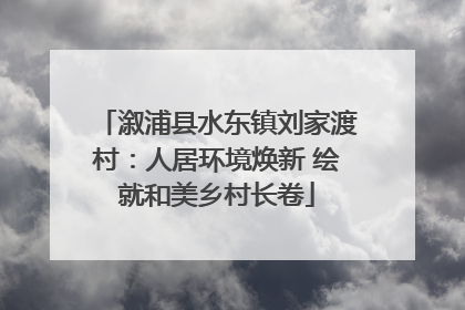 溆浦县水东镇刘家渡村：人居环境焕新 绘就和美乡村长卷