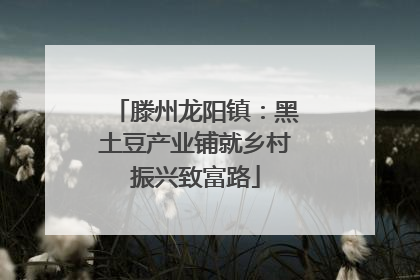 滕州龙阳镇：黑土豆产业铺就乡村振兴致富路