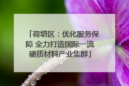 荷塘区：优化服务保障 全力打造国际一流硬质材料产业集群