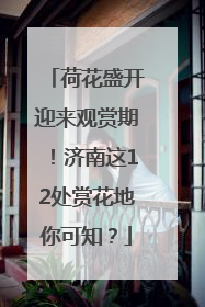 荷花盛开迎来观赏期！济南这12处赏花地你可知？