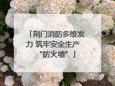 荆门消防多维发力 筑牢安全生产“防火墙”