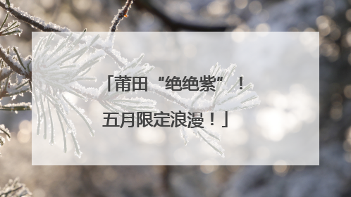 莆田“绝绝紫”！五月限定浪漫！