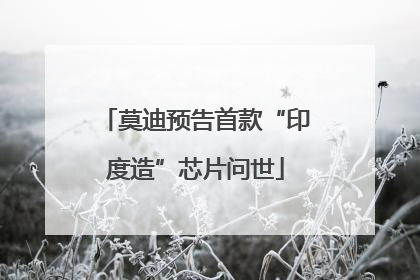 莫迪预告首款“印度造”芯片问世