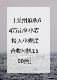 莱州抢收64万亩冬小麦 投入小麦联合收割机1500台