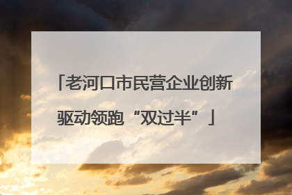 老河口市民营企业创新驱动领跑“双过半”