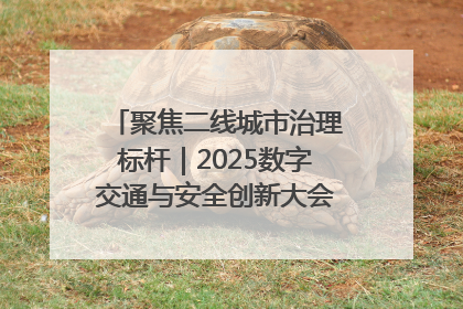 聚焦二线城市治理标杆｜2025数字交通与安全创新大会在保定隆重开幕