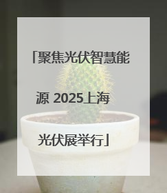 聚焦光伏智慧能源 2025上海光伏展举行