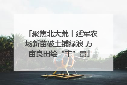 聚焦北大荒丨延军农场新苗破土铺绿浪 万亩良田绘“丰”景