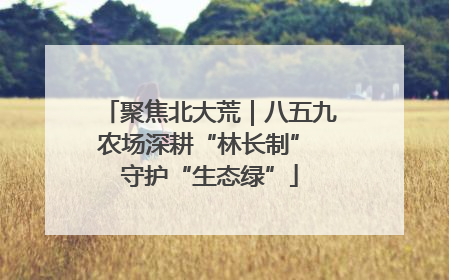 聚焦北大荒｜八五九农场深耕“林长制” 守护“生态绿”
