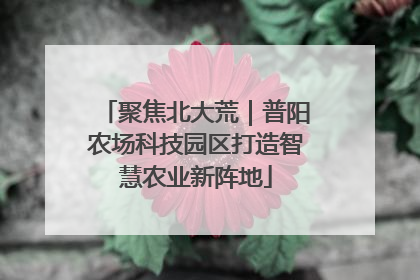 聚焦北大荒｜普阳农场科技园区打造智慧农业新阵地
