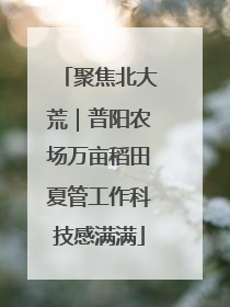 聚焦北大荒｜普阳农场万亩稻田夏管工作科技感满满